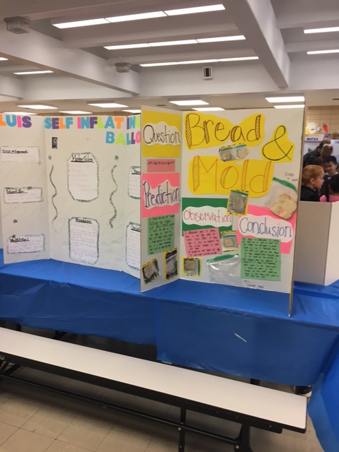 Science fair 14