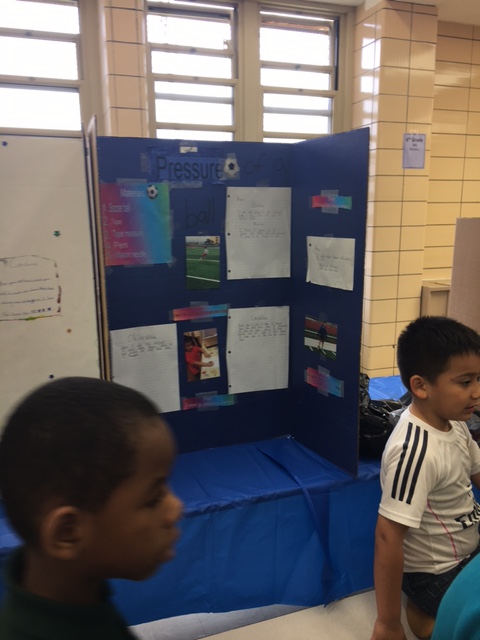 Science fair 17