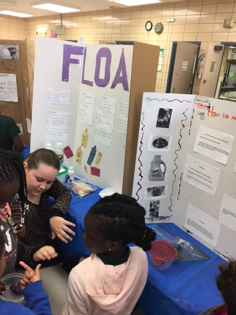 Science fair 11