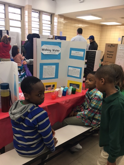 Science fair 10