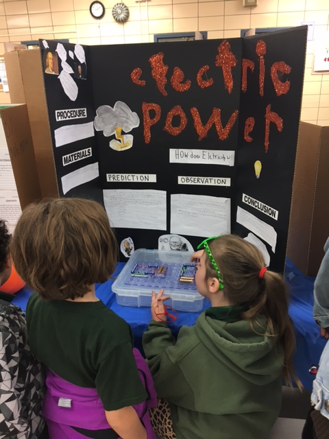 Science fair 9