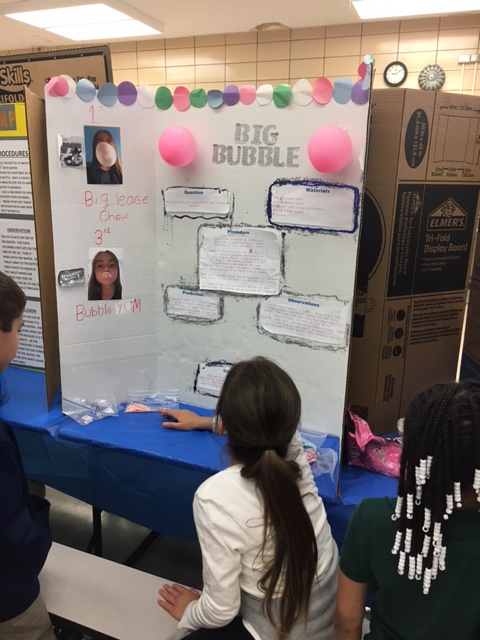 Science fair 8