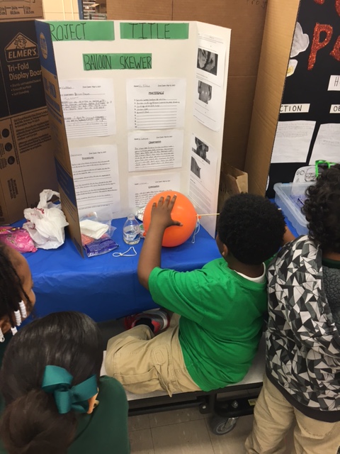 Science fair 7